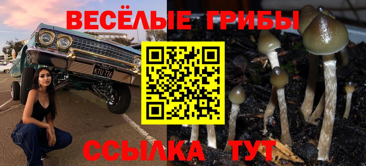 Галлюциногенные грибы GOLDEN TEACHER  Вход с VPN  Красный Сулин  Псилоцибиновые грибы Magic Shrooms 