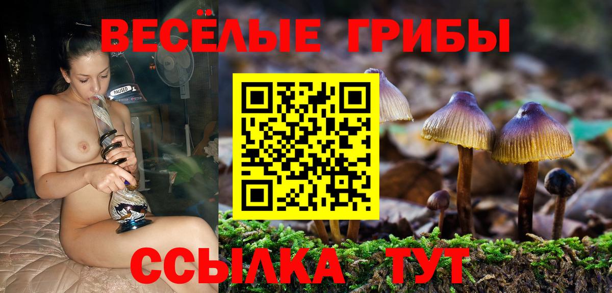 Галлюциногенные грибы прущие грибы Красный Сулин